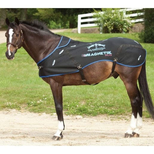 veredus-magnetik-rug-magnetic-magnet-circulation-healing-therapy-arthritis-sml-cork-farm-equestrian-194.jpg