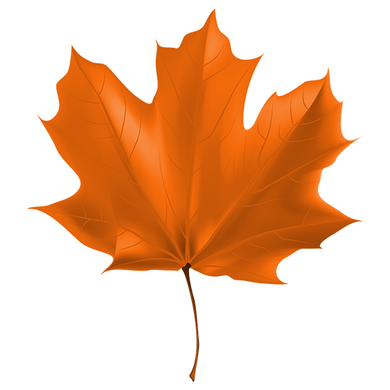 Beautiful_Autumn_Leaf_PNG_Clipart_Image.png